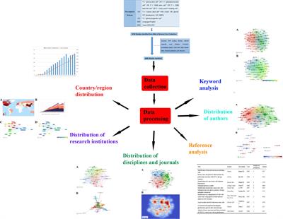 Global research trends and hotspots on glioma stem cells